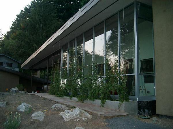 IMGP2227.JPG - Passive solar sun space