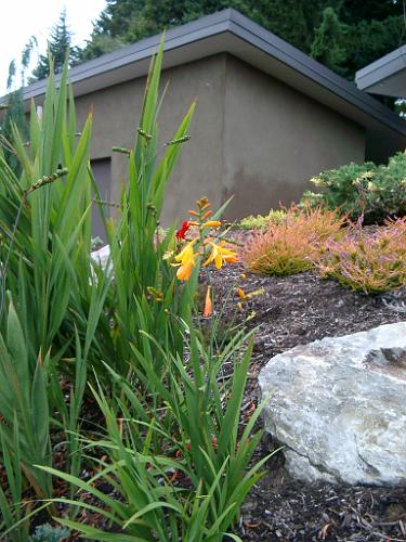 IMGP1697.JPG - Some fall color