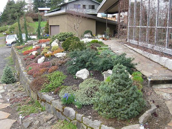 IMG_1231.JPG - Winter color and vines have lost their leaves to allow sun into the sun space.